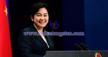 外交部發言人華春瑩圖片